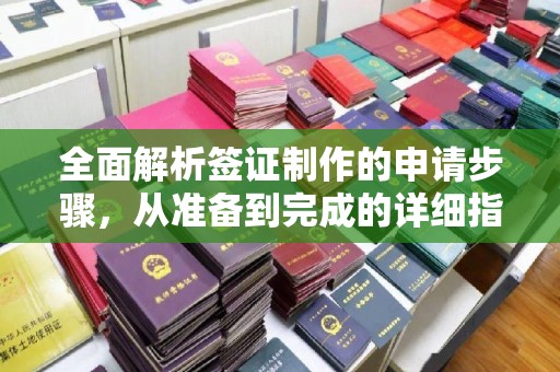 长阳全面解析签证制作的申请步骤，从准备到完成的详细指南